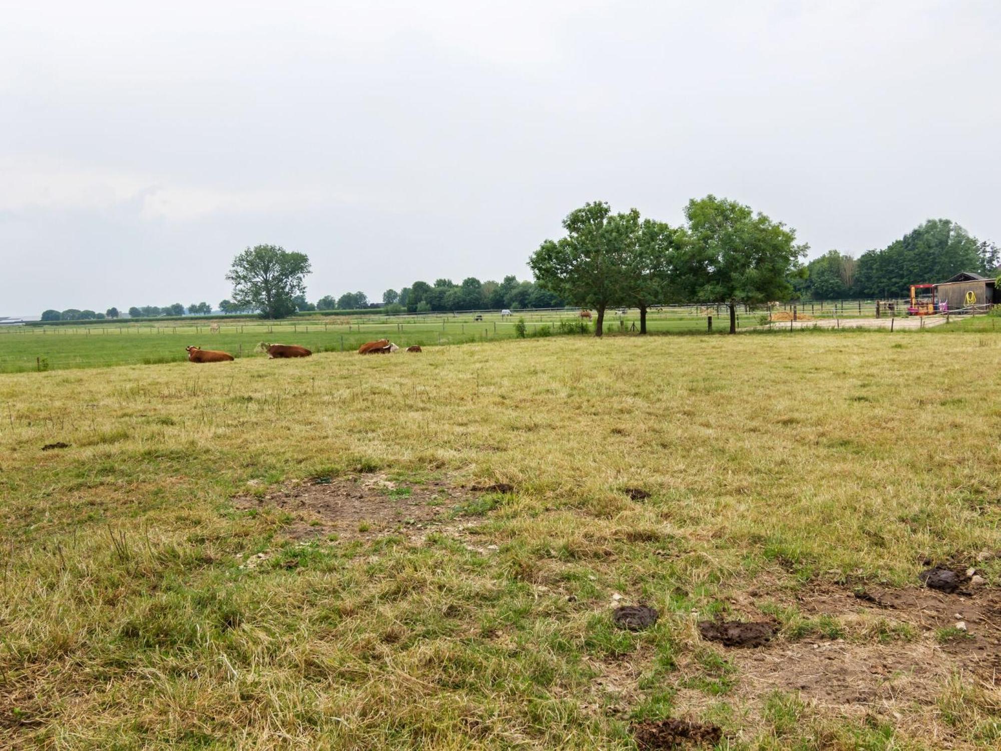 Beautiful Holiday Home In Horssen At The Farm With A Garden Zewnętrze zdjęcie